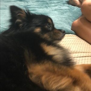 Meet your Posher, Blanca